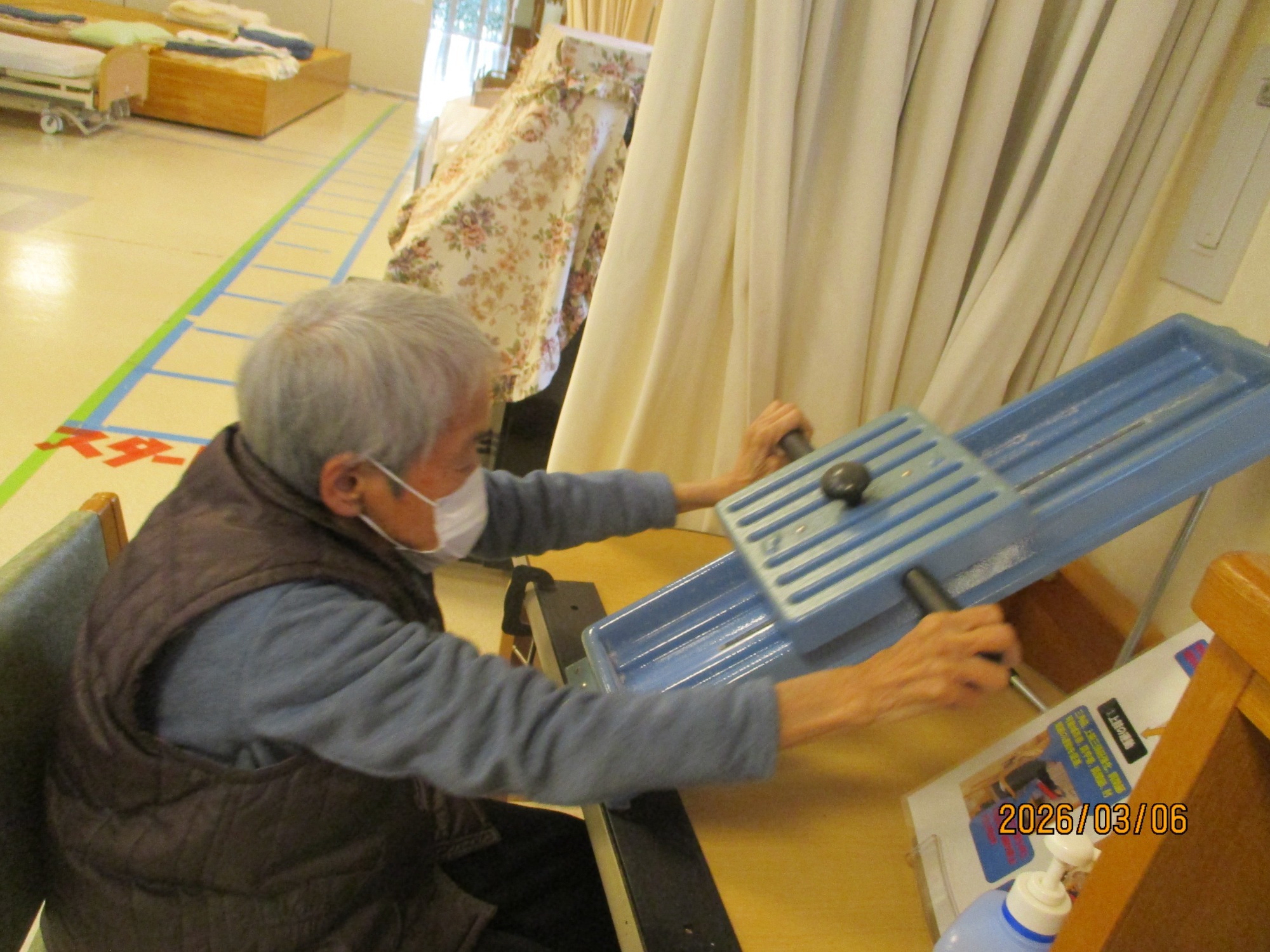 春の外出（藤）