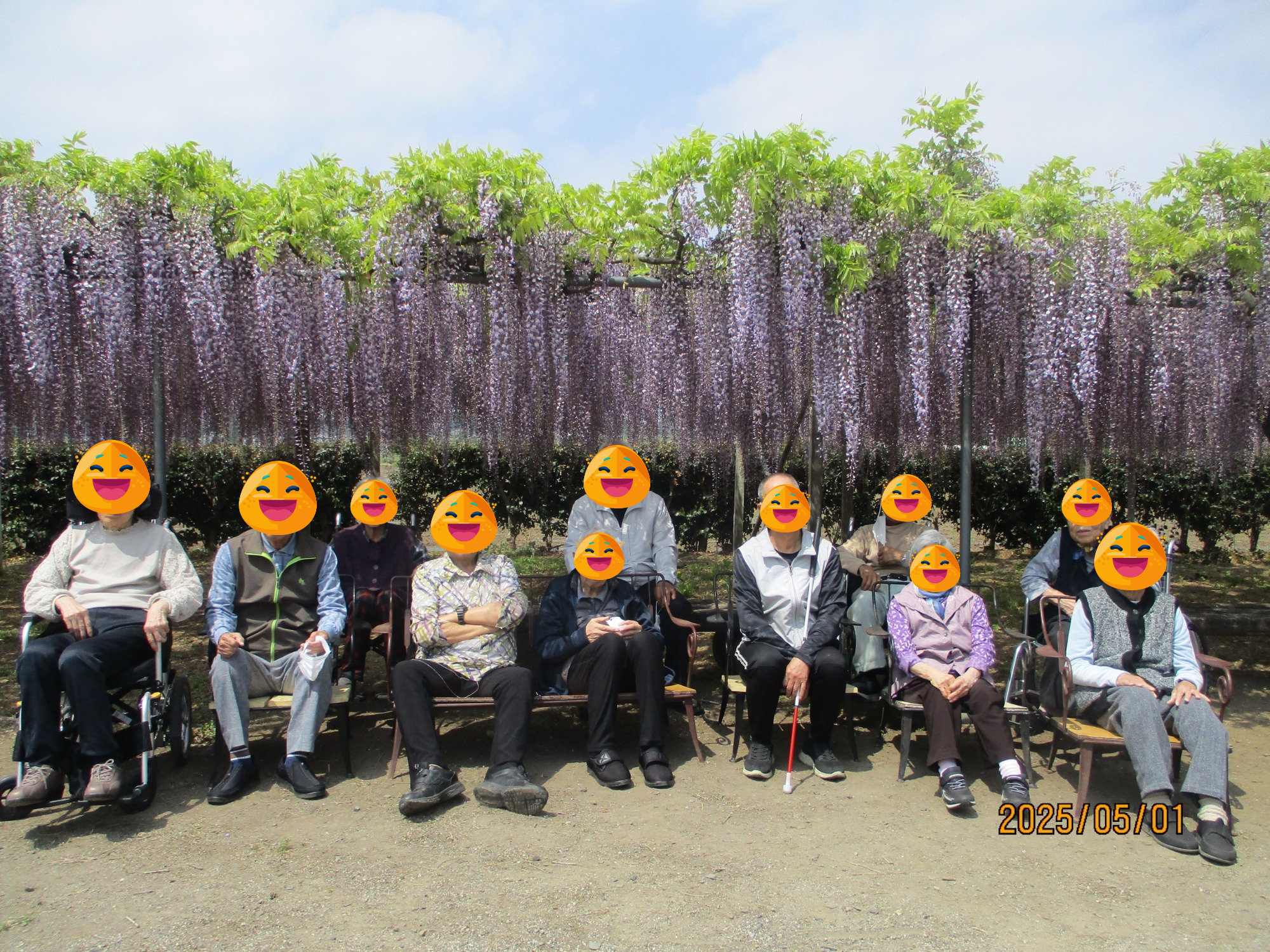 夏の外出（蓮）