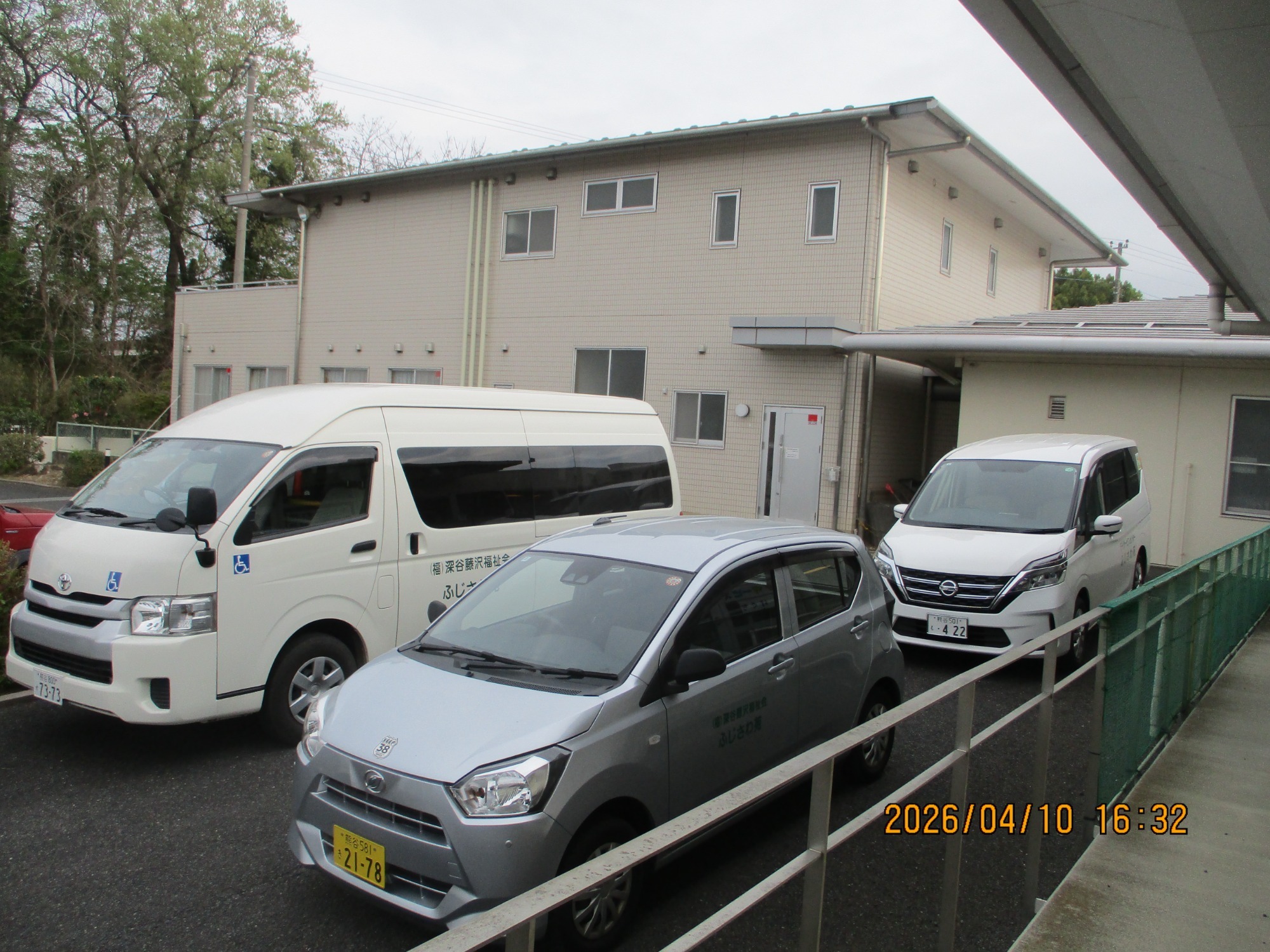 春の外出（藤）