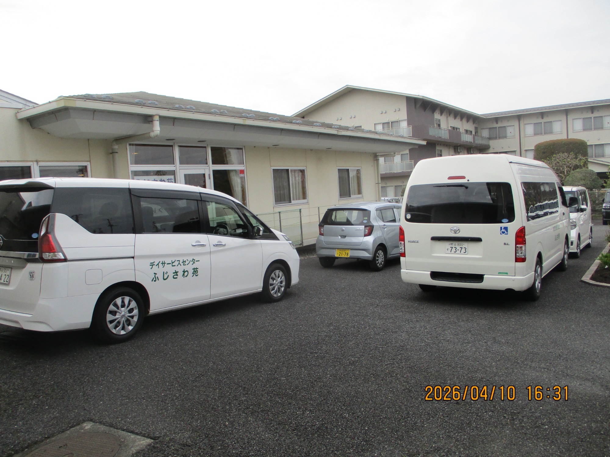 春の外出（藤）